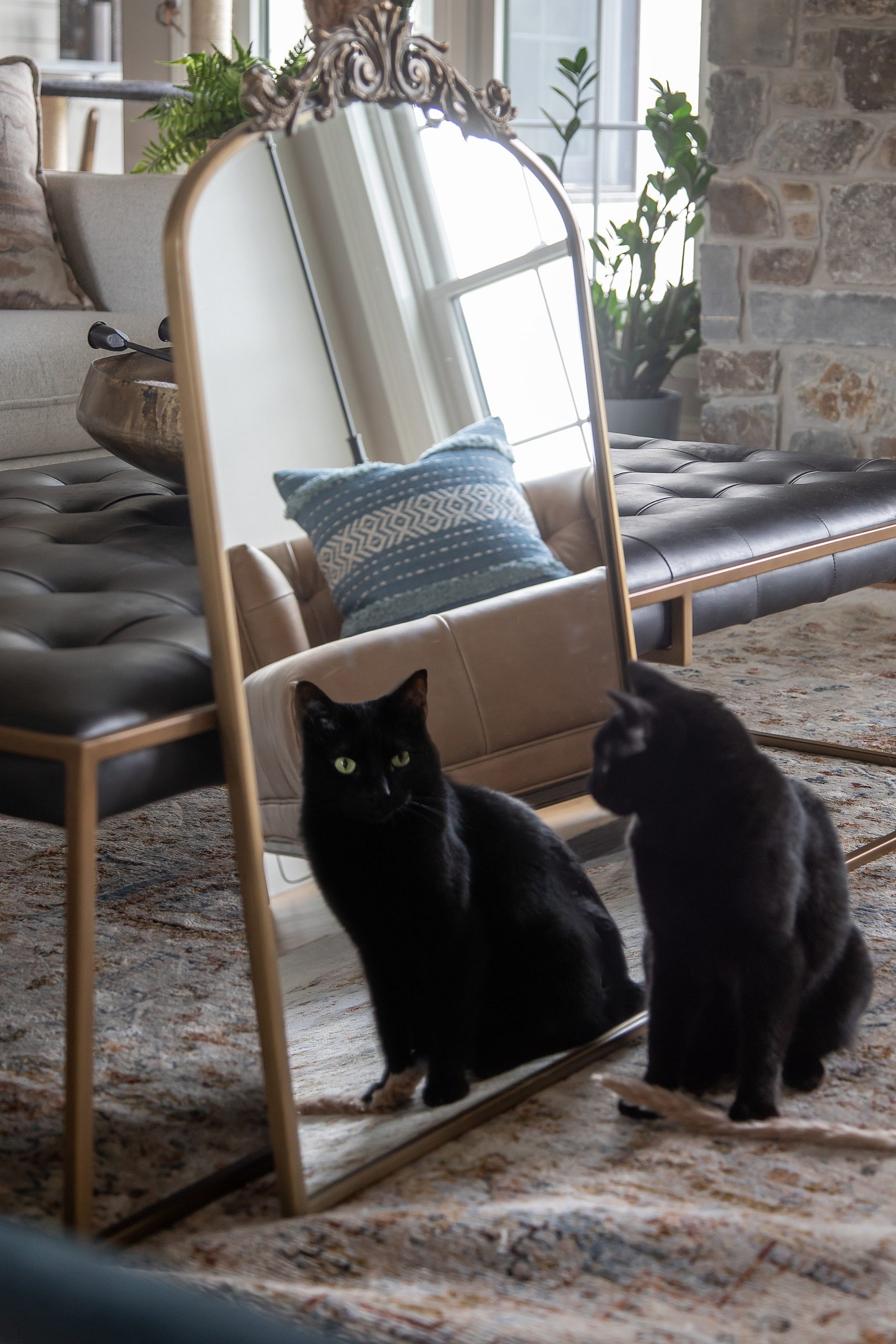 Elevating the Everyday: Earthy Escape