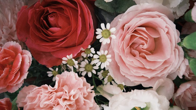 Falling in Love with Your Space: Creating Cozy, Intimate Settings